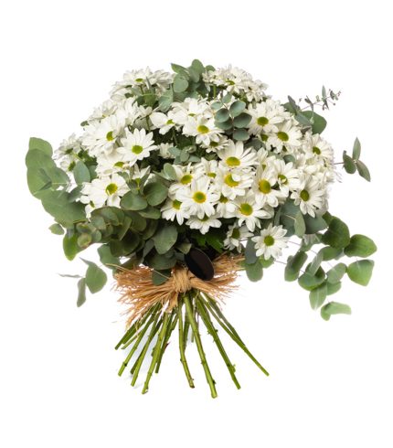 13-ramo-margaritas-floristeria-24h-granada-pinos-puente