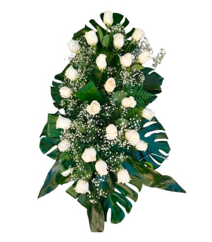 40-palmatoria-suelo-rosas-24h-granada-pinos-puente