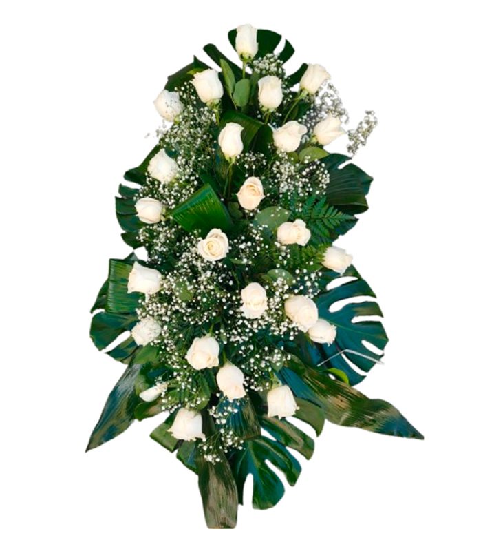 40-palmatoria-suelo-rosas-24h-granada-pinos-puente