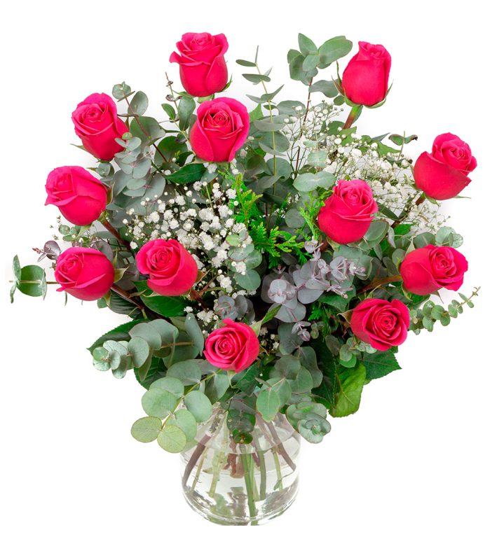 6-ramo-de-rosas-fucsia-floristeria-24h-granada-pinos-puente