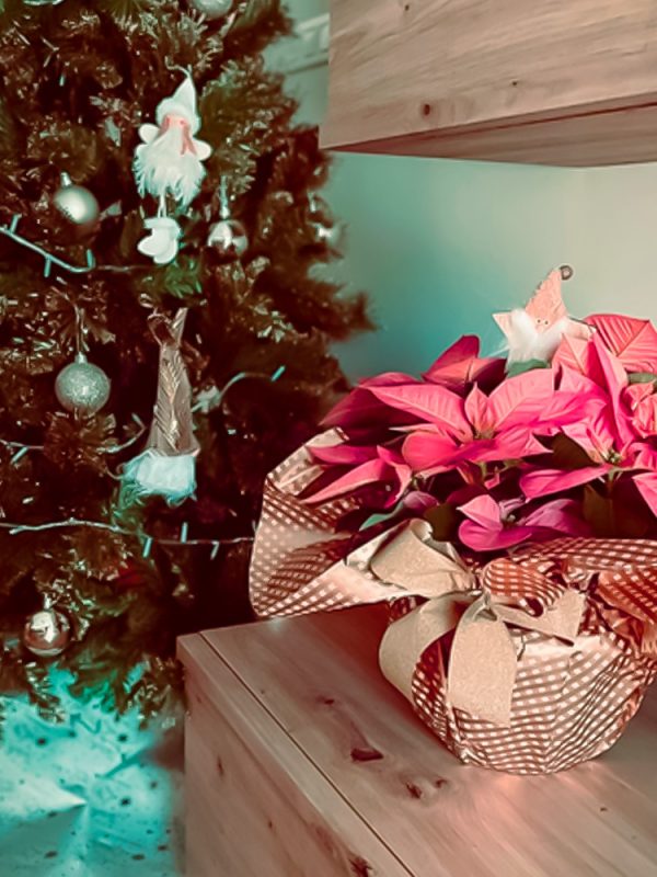 fechas-especiales-navidad-floristeria-granda-flor-regalo-puertas